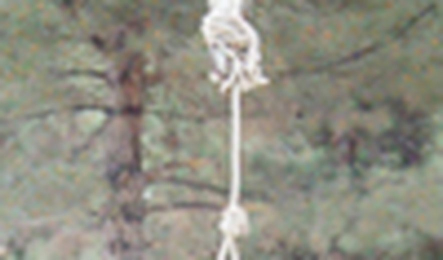 Three prisoners were executed in northwestern Iran