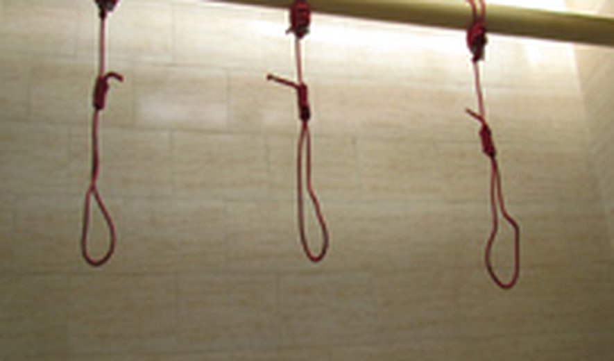 The Execution Wave Continues: Three Official and 11 Unofficial Executions in Iran Today
